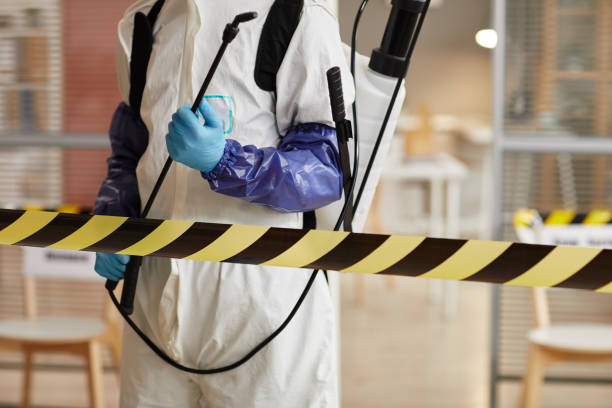 Professional Hoarding Cleanup technician working in Tivoli, TX